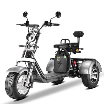Citycoco 2000W Motor Склад в США 2023 Rooder RONZLLA трехколесный велосипед r804t8 Электрический Мотоцикл 3 колеса Электрический Скутер